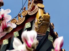 -东华门大街小区