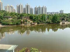 -棕榈泉国际花园1期