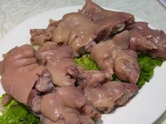 -丁老爷子苏香圆