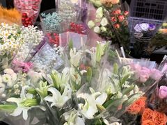 -白佛花鸟鱼虫批发市场小型宠物交易(东区)