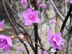 -北京水岸山吧度假村(雁栖镇店)