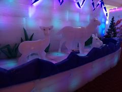 -白鹿仓冰雪海洋世界