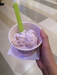 -朵莉丝希腊冻酸奶