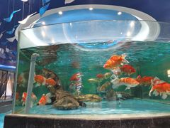 -都市阳光海鲜城(青山湖店)