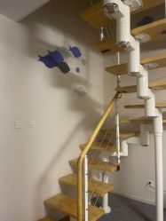 -画匠·画眉师野生眉纹眉美术馆