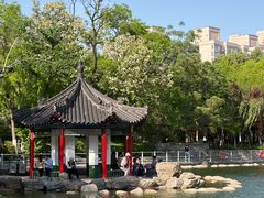 -莲湖公园
