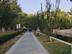 -元大都城垣遗址公园