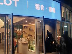 门面-飞行喵MR PILOT|猫舍·猫咖(静安大融城店)