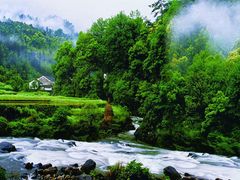 -祁门牯牛降观音堂风景区