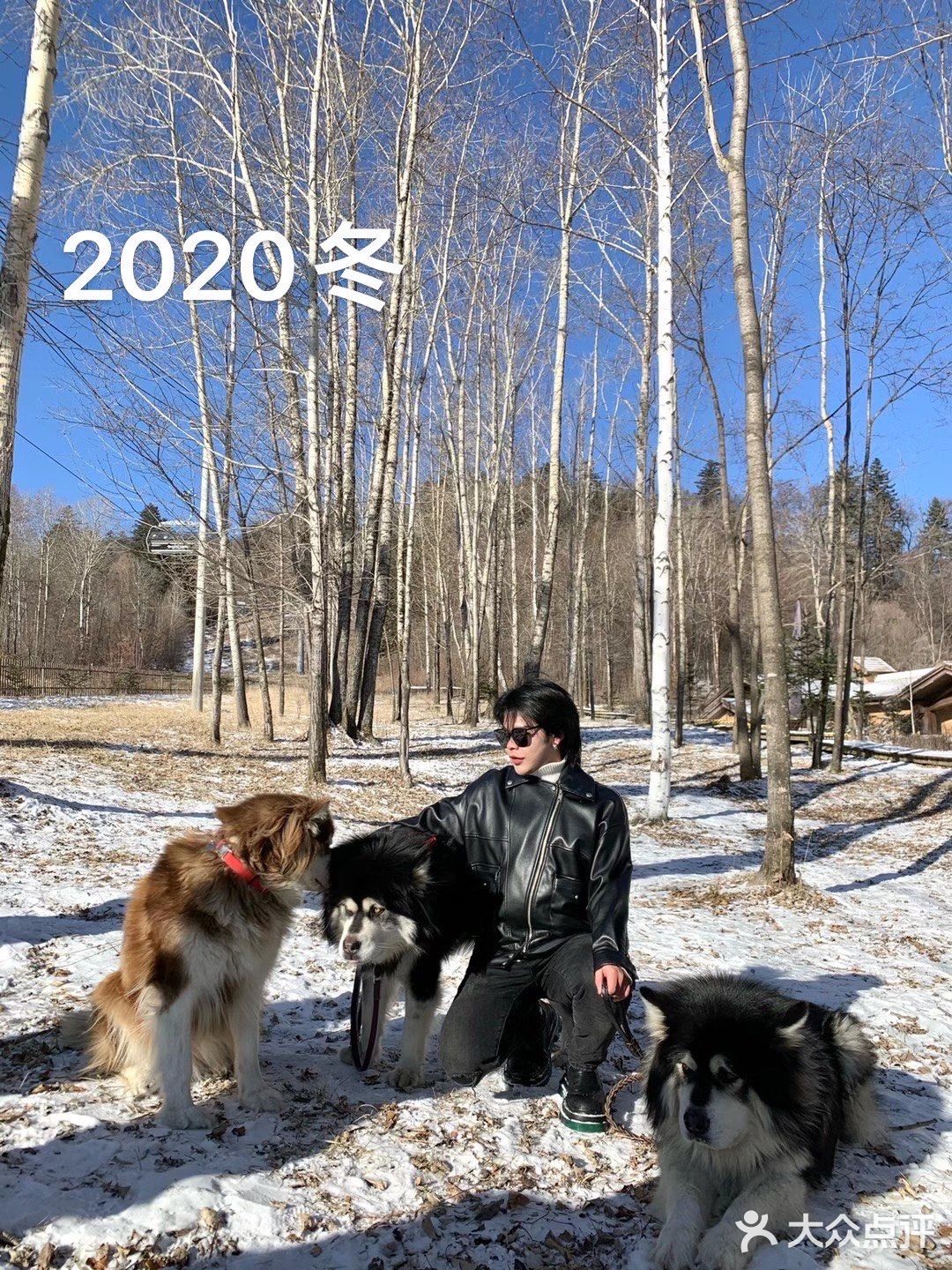 长白山旅行日记2❄️柏悦的阿拉斯加