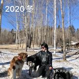 长白山旅行日记2❄️柏悦的阿拉斯加