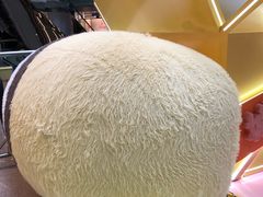 -广州天河城购物中心