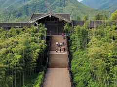 -大唐贡茶院