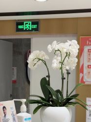 -广东韩妃整形外科医院