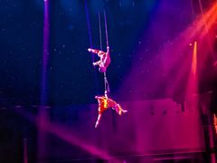 -珠海横琴长隆《卡卡虎奇遇记》