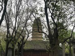 -西安博物院