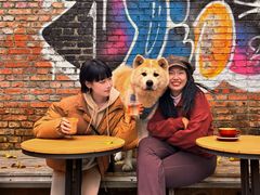 -VOYAGE COFFEE 咖啡烘焙工坊店(798艺术区店)