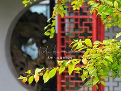 -苏州园林博物馆