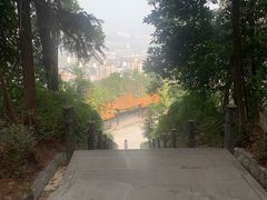 -铁山坪森林公园