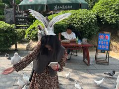 -翰园碑林