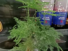 -沼津港精致料理·寿喜烧·烧鸟(龙湖南桥天街日料榜单店)