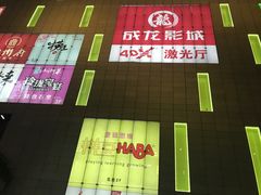 -真北路(地铁站)