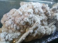 -湖南省地质博物馆