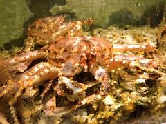 -珍宝轩海鲜火锅(碧湖大厦店)