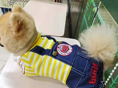 -爱侣宠医·鹦鹉专科·小型哺乳类·异宠专科(灵石路店)