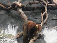 -武汉动物园