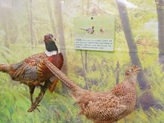 -下渚湖国家湿地公园科普馆