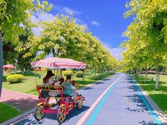 -琅岐红光湖公园