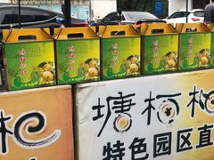 -塘栖枇杷特色园区