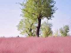 -汉长安城未央宫国家考古遗址公园