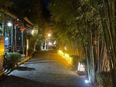 -崇阳三特浪口温泉