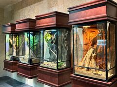 -帕帕拉兹宠物(亚洲旗舰店)