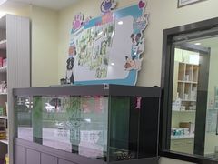 -天宠宠物医院24小时·急重症诊疗中心·全科·腔镜特色(和平分院)