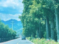 -雅鲁激流探险漂流
