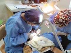 -天使口腔门诊部(上海店)