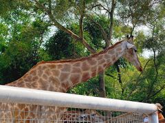 -泉州海丝野生动物世界