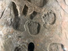 -湖南省地质博物馆