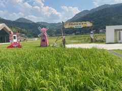 -趣飞飞黑麋峰国际滑翔伞基地