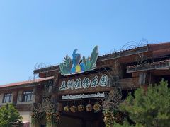 -南宫五洲植物乐园