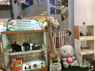 摆了毛绒玩具，更是放了5窝萌宠