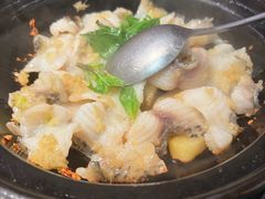 -永記粤菜·五指毛桃花雕鸡煲(九亭店)