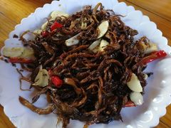 黄油菌-腾冲国萍农家乐
