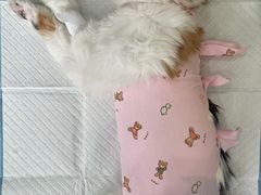 -美迦爱-牙专科·兔科·骨科诊疗中心(北苑店)