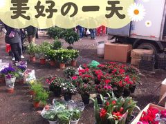 -牛头崖大集