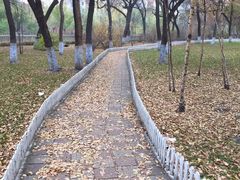 -丰台花园