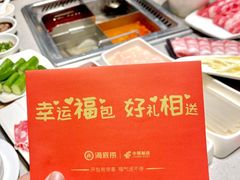 -海底捞火锅(汇金星力城店)